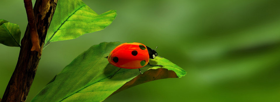 compensatie. Zo Delfts